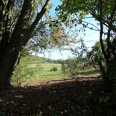 La Vannerie Origny-en-Thierache